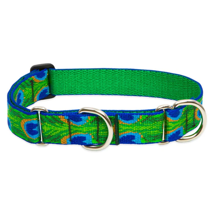 Lupine Pet Dog 1 In Wide 15-22 In Martingale Collar Original Designs Tailfeathers - Image 1