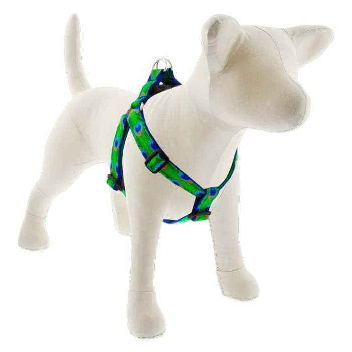 Lupine Pet Dog 1 In Wide 24-38 In Step  In Harness Original Designs Tailfeathers - Image 1