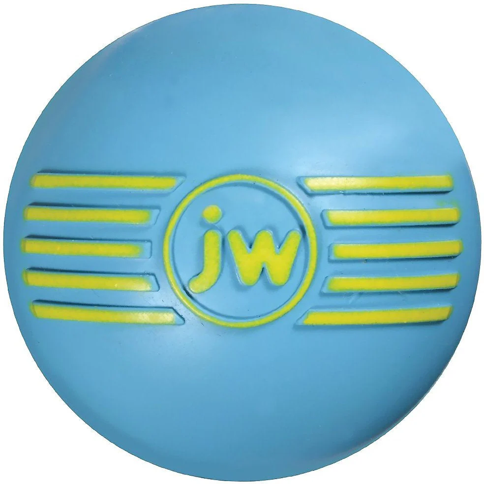 JW Pet iSqueak Ball Dog Toy - Image 1