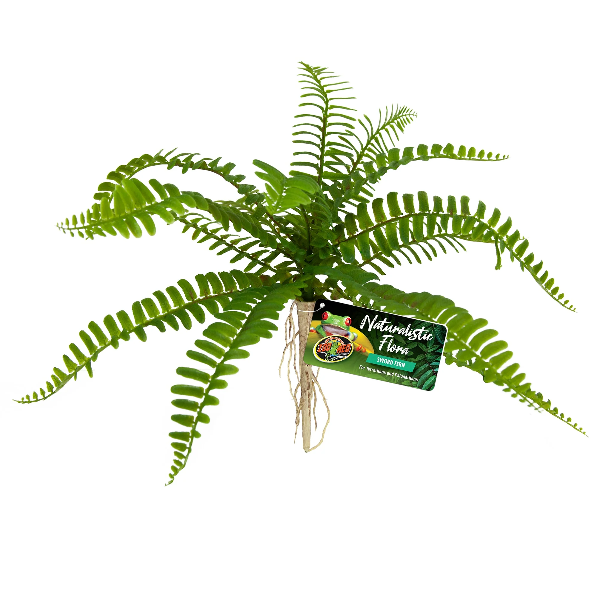 Zoo Med Laboratories BU-63 Naturalistic Flora Sword Fern - Image 1