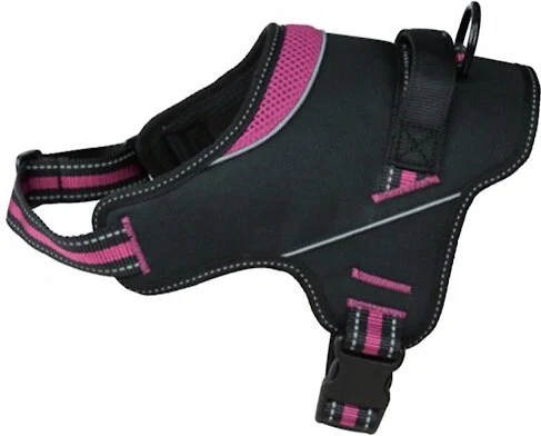 Doggy Tales Hart Dog Harness Pink 55in - Image 1