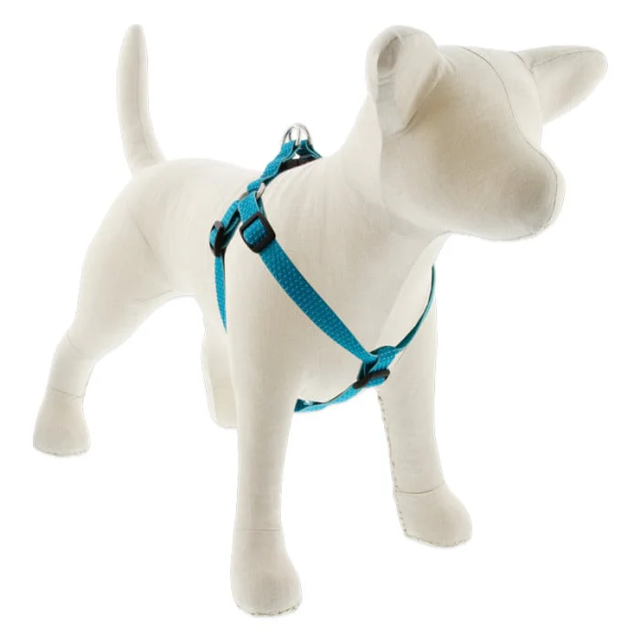Lupine Pet Dog 3/4 In Wide 15-21 In Step  In Harness Eco Tropical Sea - Image 1