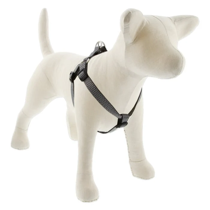 Lupine Pet Dog 3/4 In Wide 15-21 In Step  In Harness Eco Granite - Image 1