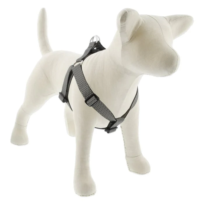 Lupine Pet Dog 1 In Wide 24-38 In Step  In Harness Eco Granite - Image 1