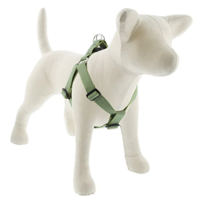 Lupine Pet Dog 1 In Wide 24-38 In Step  In Harness Eco Moss - Image 1