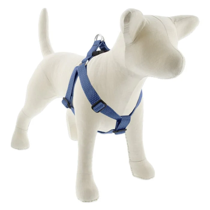 Lupine Pet Dog 1 In Wide 24-38 In Step  In Harness Eco Mounta In Lake - Image 1
