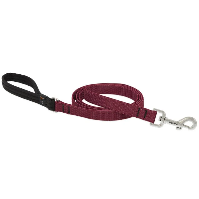 Lupine Pet Dog 6 Ft Long 3/4 In Leash Eco Berry - Image 1
