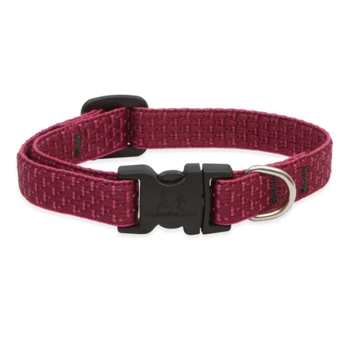Lupine Pet Dog 1 In Wide 12-20 In Adjustable Collar Eco Berry - Image 1