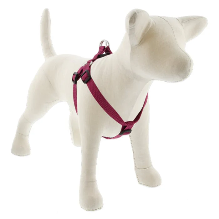 Lupine Pet Dog 3/4 In Wide 15-21 In Step  In Harness Eco Berry - Image 1