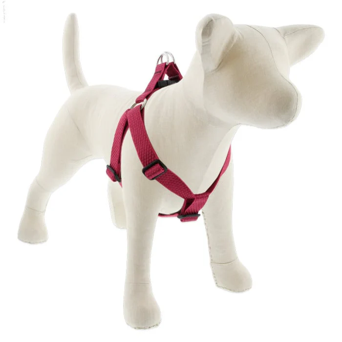 Lupine Pet Dog 1 In Wide 19-28 In Step  In Harness Eco Berry - Image 1