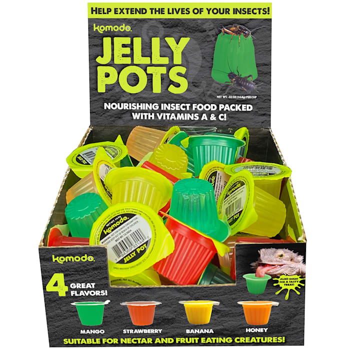 Komodo Jelly Pots .56oz Single - Image 1