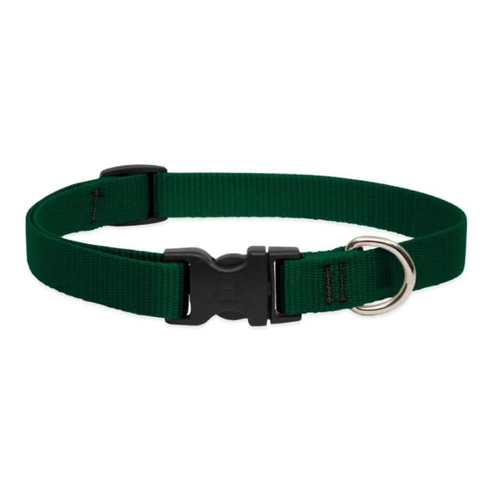 Lupine Pet Dog 3/4 In Wide 15-25 In Adjustable Collar Basics Green - Image 1