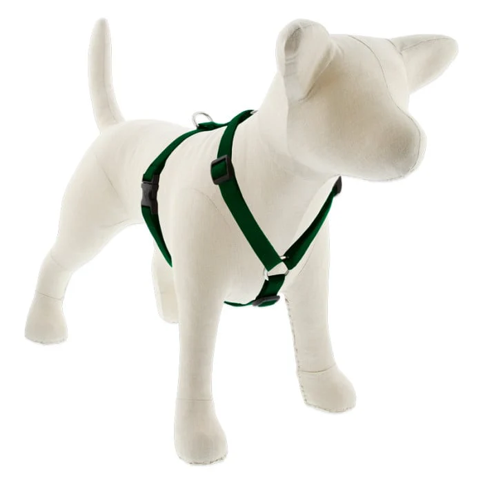 Lupine Pet Dog 3/4 In Wide 12-20 In Roman Harness Basics Green - Image 1