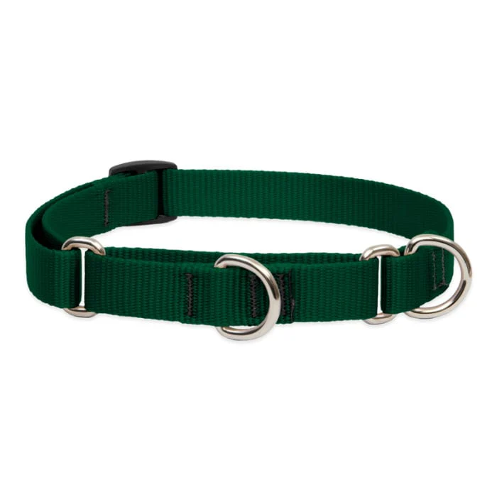 Lupine Pet Dog 3/4 In Wide 14-20 In Martingale Collar Basic Green - Image 1