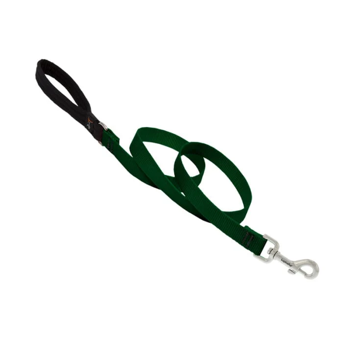 Lupine Pet Dog 4 Ft Long 3/4 In Leash Basics Green - Image 1