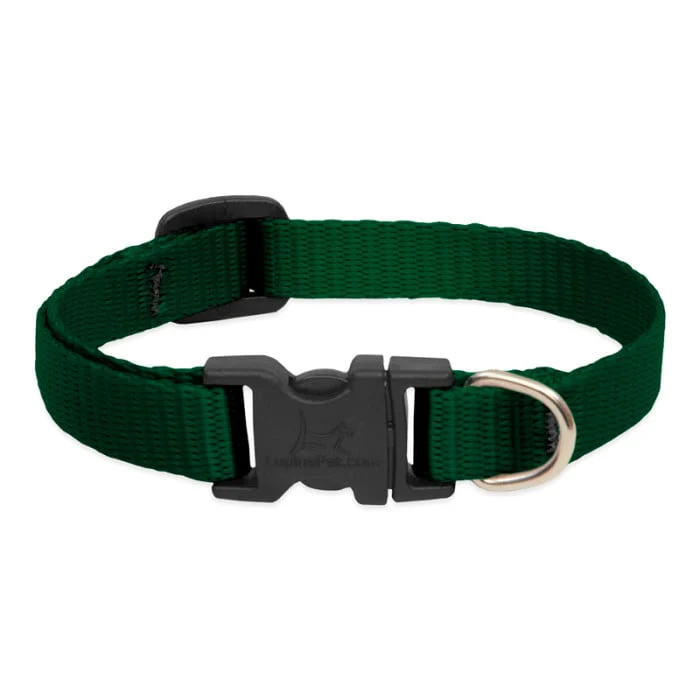 Lupine Pet Dog 2/4 In Wide 9-14 In Adjustable Collar Basic Green - Image 1