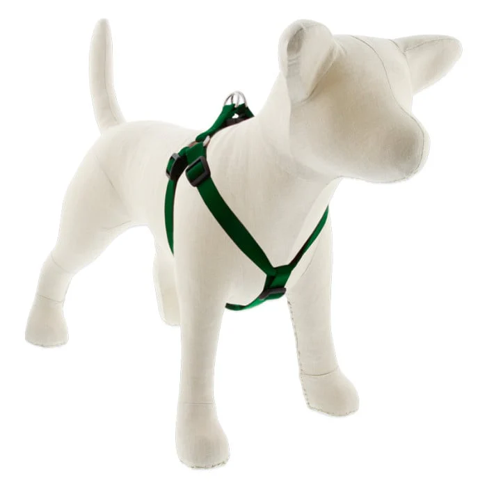 Lupine Pet Dog 3/4 In Wide 15-21 In Step  In Harness Basics Green - Image 1