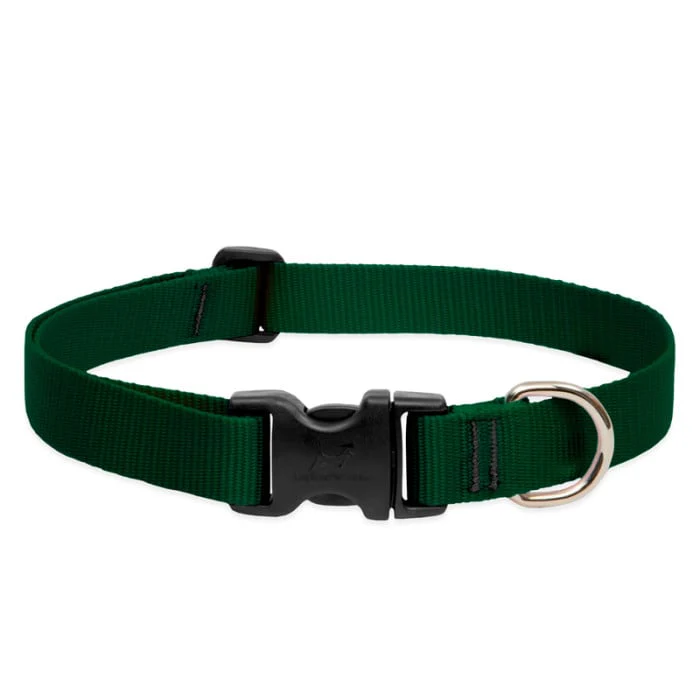 Lupine Pet Dog 1 In Wide 12-20 In Adjustable Collar Basics Green - Image 1