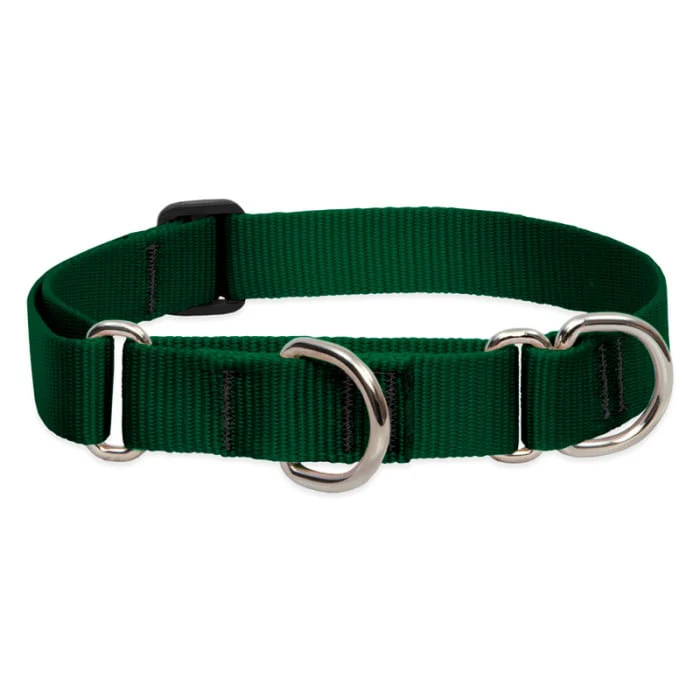 Lupine Pet Dog 1 In Wide 19-27 In Martingale Collar Basic Green - Image 1