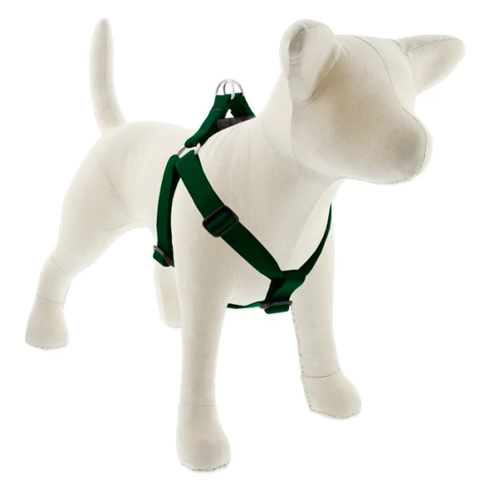 Lupine Pet Dog 1 In Wide 24-38 In Step  In Harness Basics Green - Image 1