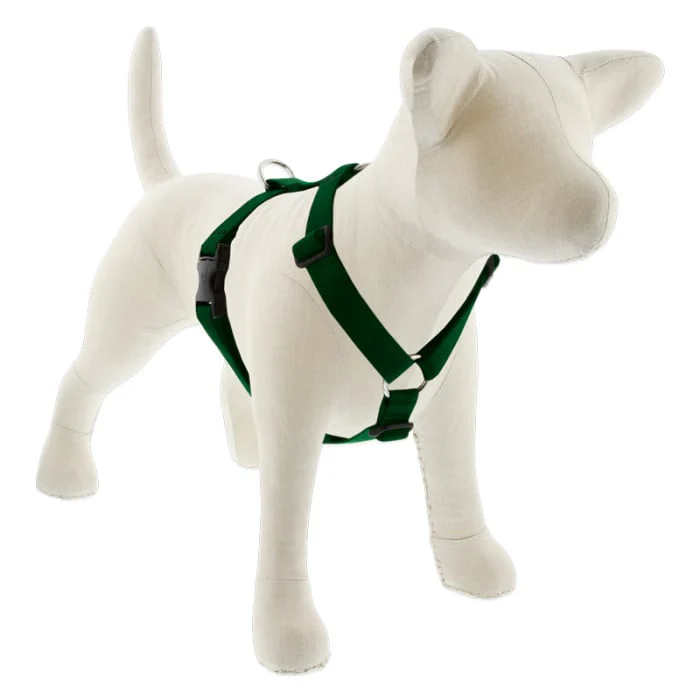 Lupine Pet Dog 1 In Wide 24-38 In Roman Harness Basics Green - Image 1