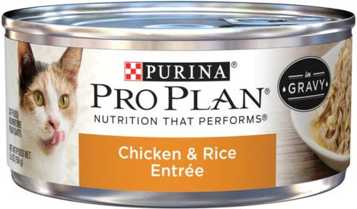 Purina Pro Plan Gravy Wet Cat Food Chicken & Rice Entree - 24 5.5 oz. Pull-To... - Image 1