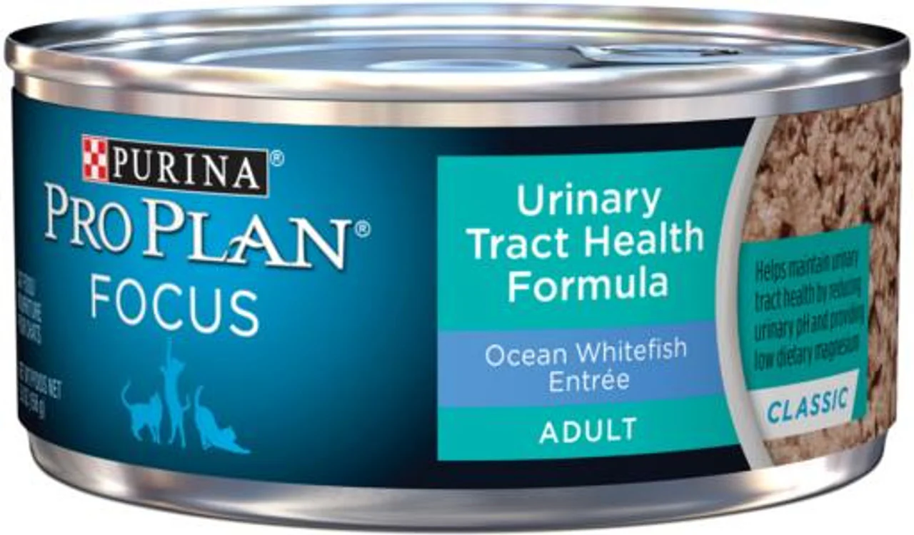 Purina Pro Plan Urinary Tract Health Pate Wet Cat Food Focus Urinary Tract He... - Image 1