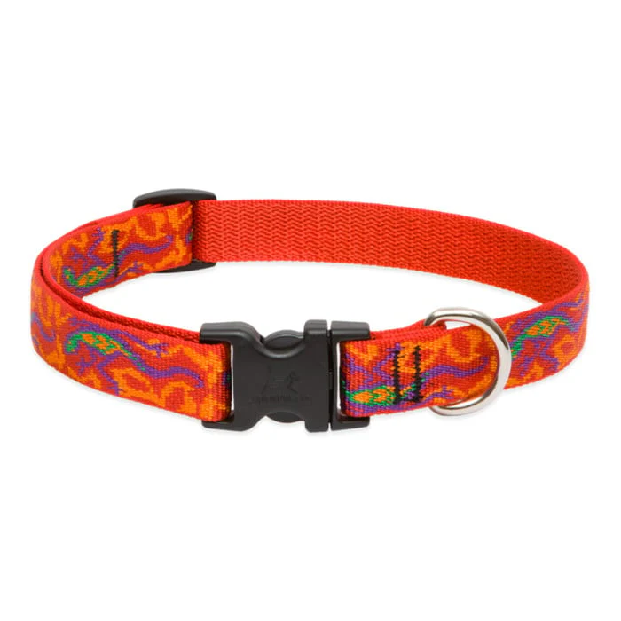 Lupine Pet Dog 3/4 In Wide 13-22 In Adjustible Collar Original Designs Go Go Gecko - Image 1