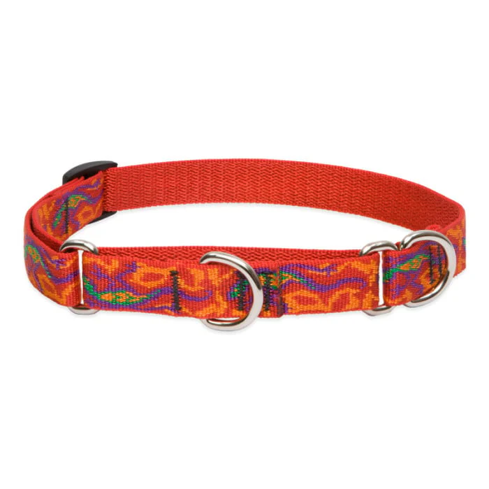 Lupine Pet Dog 3/4 In Wide 14-20 In Martingale Collar Original Designs Go Go Gecko - Image 1