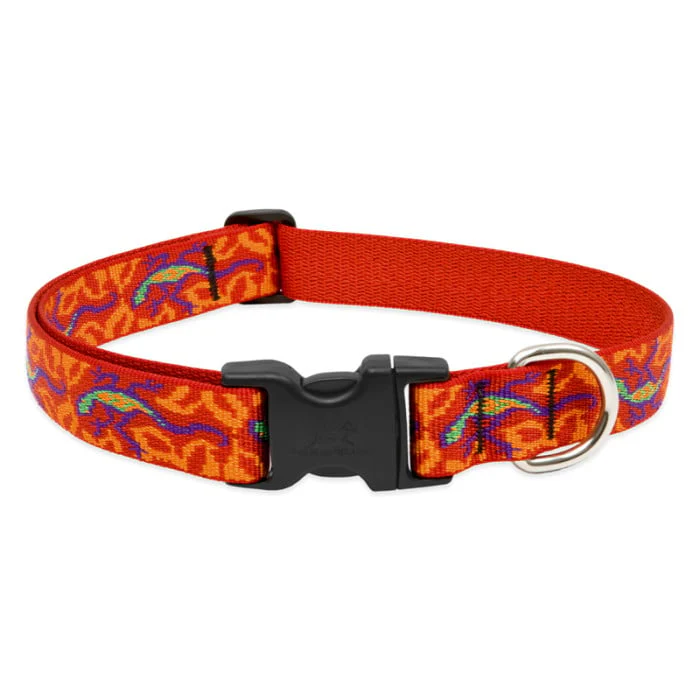 Lupine Pet Dog 1 In Wide 16-28 In Adjustable Collar Original Designs Go Go Gecko - Image 1