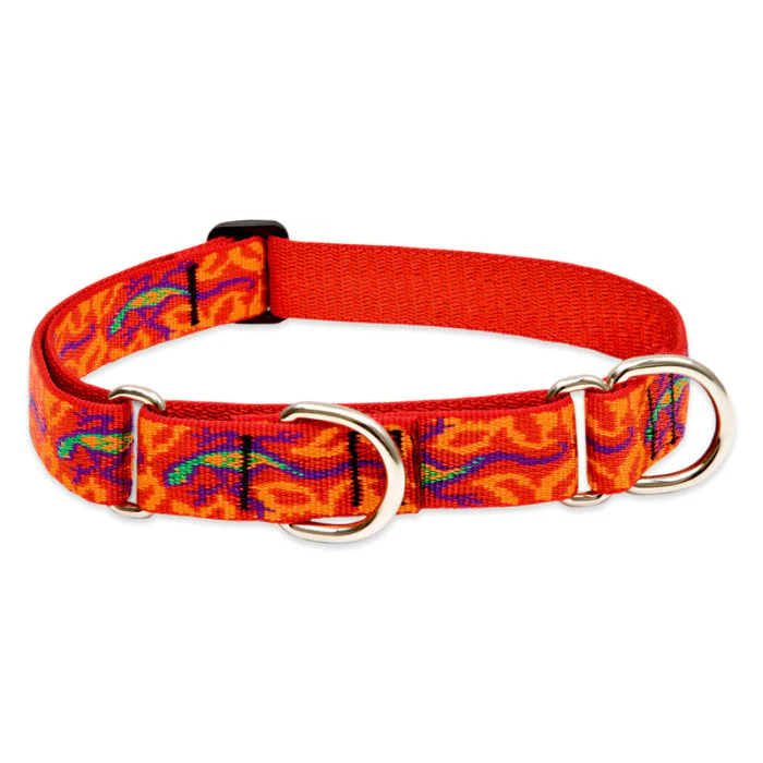 Lupine Pet Dog 1 In Wide 19-27 In Martingale Collar Original Designs Go Go Gecko - Image 1