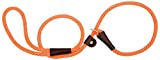 Mendota 1/2 Inch Nylon British Style Dog Slip Lead  6 feet  Orange - Image 1