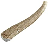 Happy Dog of Cape Cod Whole Elk Antler Dog Chew Jumbo - Image 1