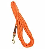 Mendota Trainer Dog Check Cord 30ft x 3/8in Orange - Image 1