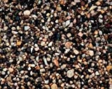 Estes  Nutmeg Natural Gravel 5 Lbs - Image 1