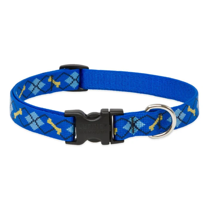 Lupine Pet Dog 3/4 In Wide 13-22 In Adjustible Collar Original Designs Dapper Dog - Image 1