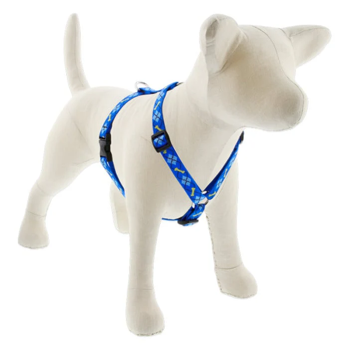 Lupine Pet Dog 3/4 In In Wide 14-24 In Roman Harness Original Designs Dapper Dog - Image 1