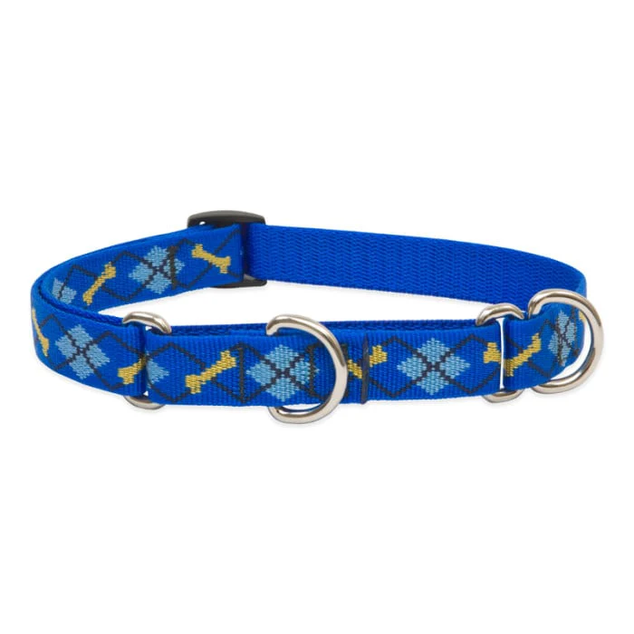 Lupine Pet Dog 3/4 In Wide 14-20 In Martingale Collar Original Designs Dapper Dog - Image 1