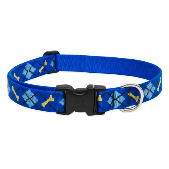 Lupine Pet Dog 1 In Wide 16-28 In Adjustable Collar Original Designs Dapper Dog - Image 1