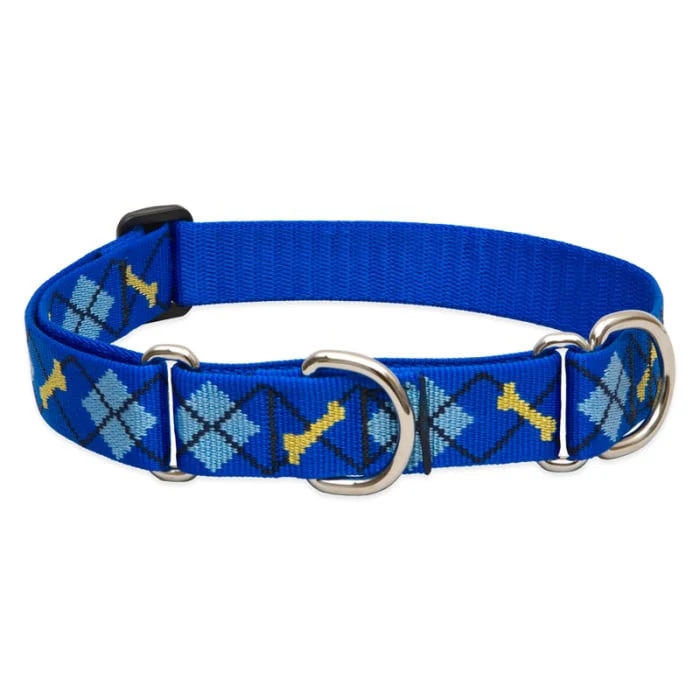 Lupine Pet Dog 1 In Wide 19-27 In Martingale Collar Original Designs Dapper Dog - Image 1