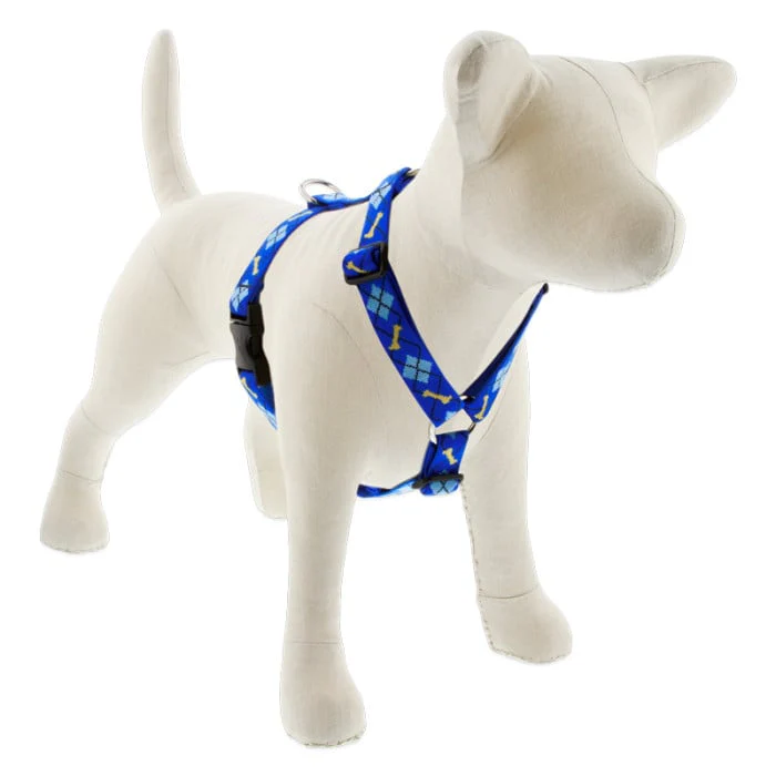 Lupine Pet Dog 1 In 20-32 In Roman Harness Original Designs Dapper Dog - Image 1