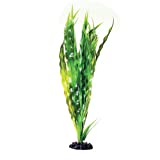 Underwater Treasures Cryptocoryne Balansae 16in - Image 1