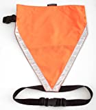 Mendota Pet Visi Vest, Orange, Large - Image 1
