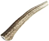 Happy Dog of Cape Cod Whole Elk Antler Dog Chew Small - Image 1