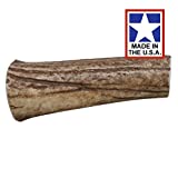 Happy Dog of Cape Cod Whole Elk Antler Dog Chew Special - Image 1