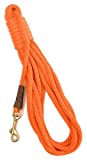 Trainer 50 Check Cord, 3/8 x 50