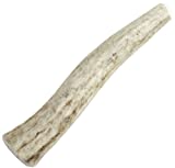 Happy Dog of Cape Cod Whole Elk Antler Dog Chew eXtra Small - Image 1