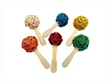 A&E Cage Co Popsicle Bird Toy 6pk - Image 1