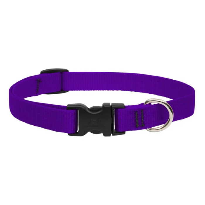 Lupine Pet Dog 3/4 In Wide 13-22 In Adjustible Collar Basic Purple - Image 1