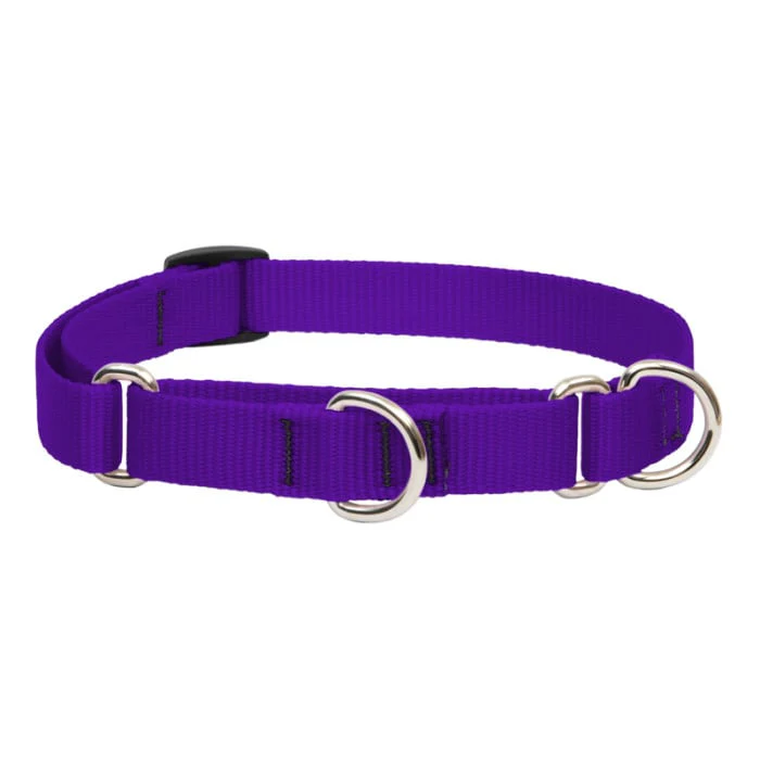 Lupine Pet Dog 3/4 In Wide 10-14 In Martingale Collar Basics Purple - Image 1